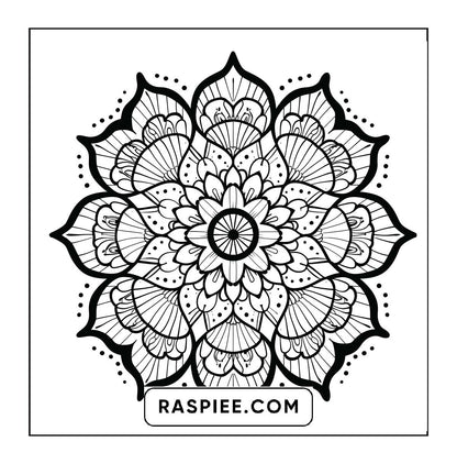 250 Mandala Adult Coloring Pages Vol.4