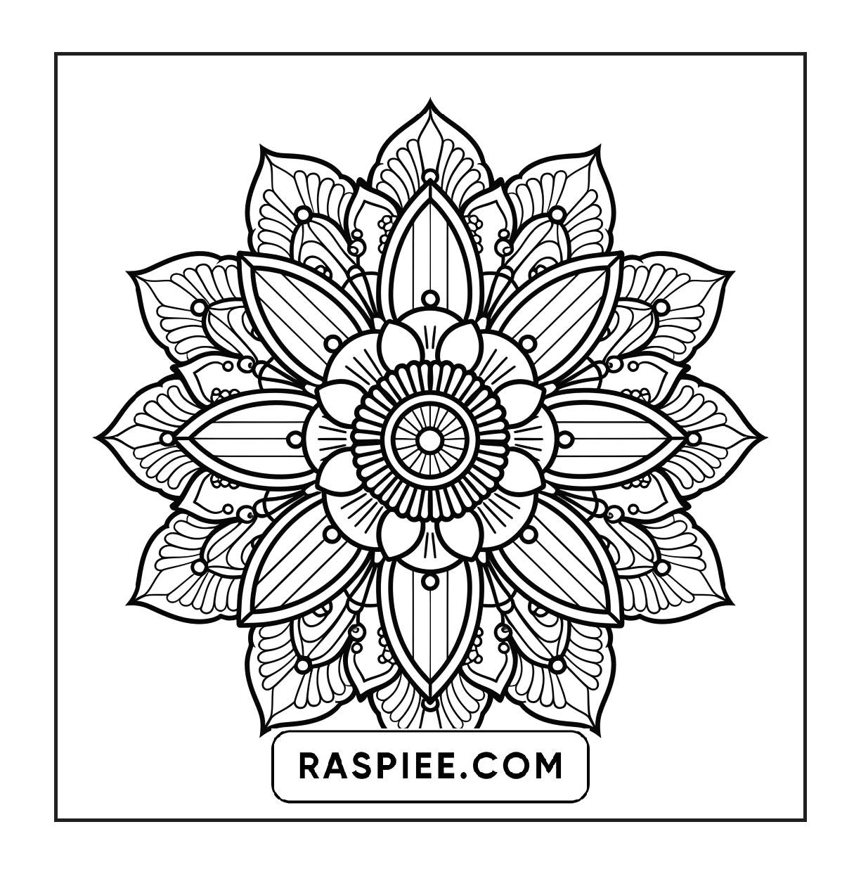 250 Mandala Adult Coloring Pages Vol.4