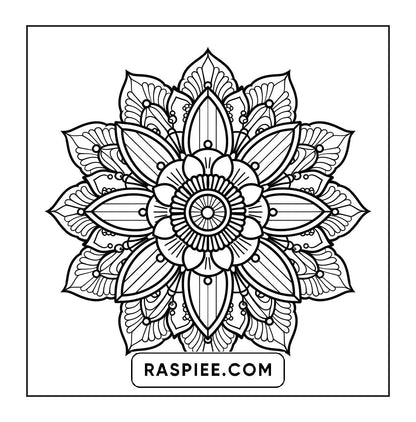 250 Mandala Adult Coloring Pages Vol.4