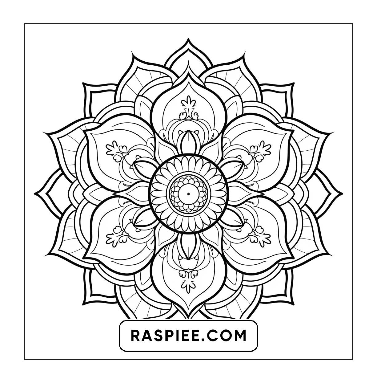 250 Mandala Adult Coloring Pages Vol.4