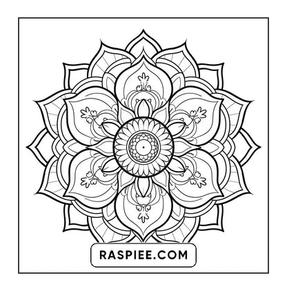250 Mandala Adult Coloring Pages Vol.4