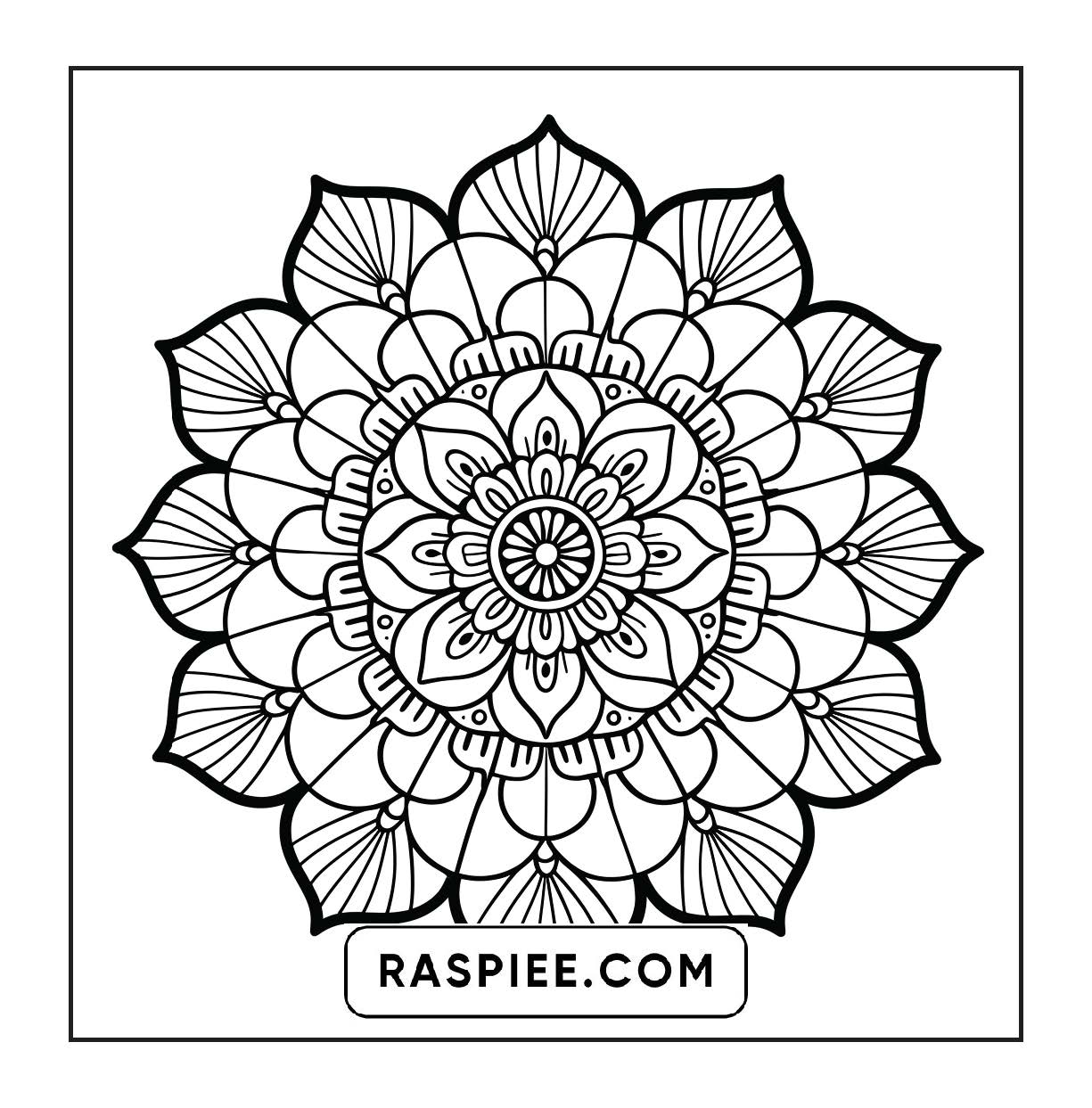 250 Mandala Adult Coloring Pages Vol.4