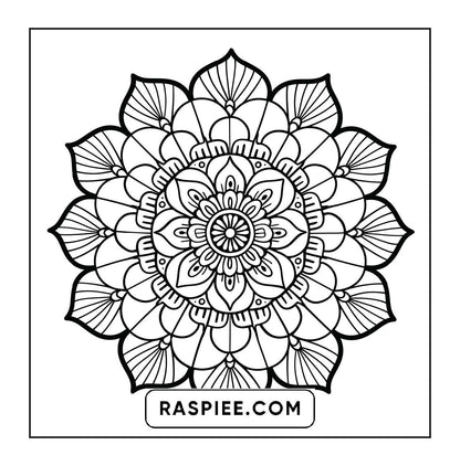 250 Mandala Adult Coloring Pages Vol.4