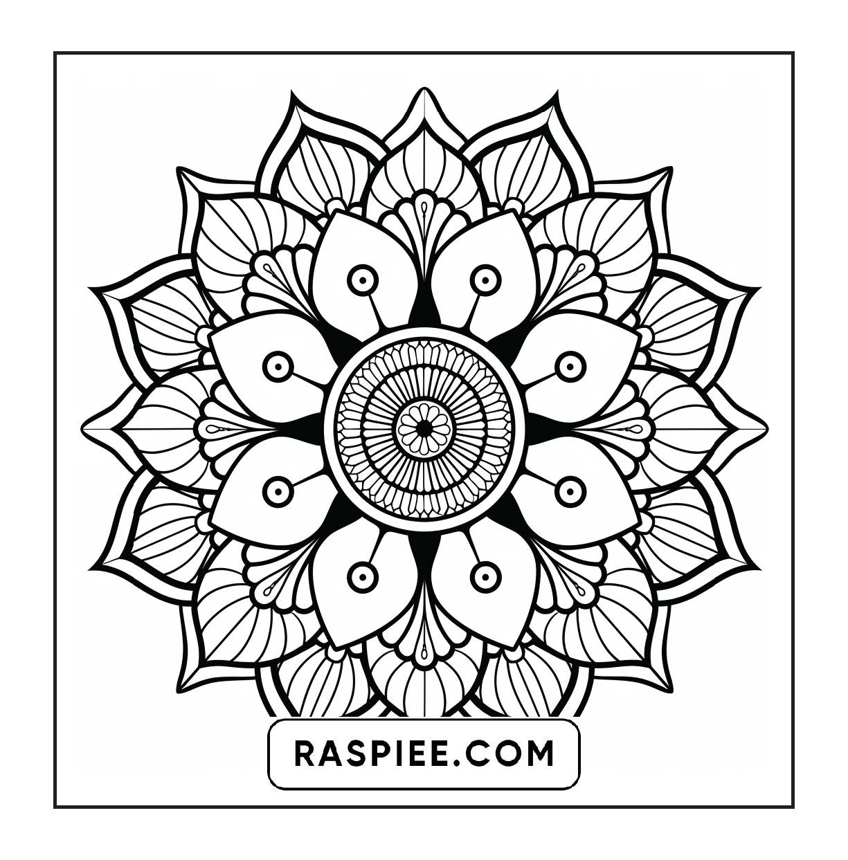 250 Mandala Adult Coloring Pages Vol.4