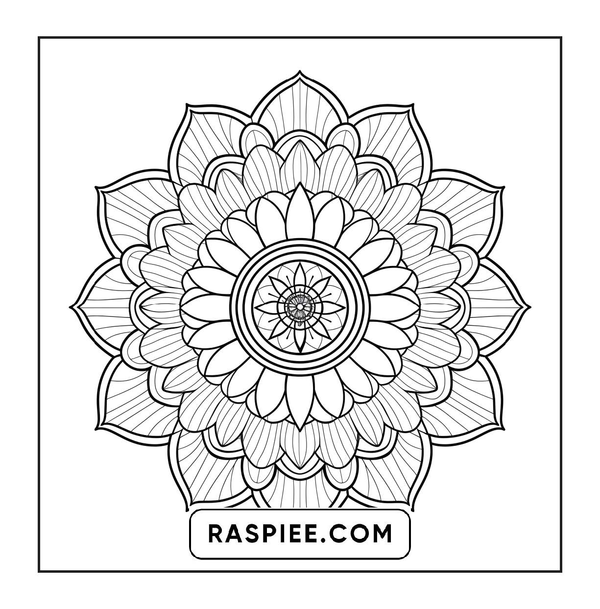 250 Mandala Adult Coloring Pages Vol.4
