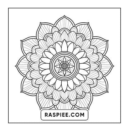 250 Mandala Adult Coloring Pages Vol.4