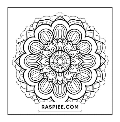 250 Mandala Adult Coloring Pages Vol.4