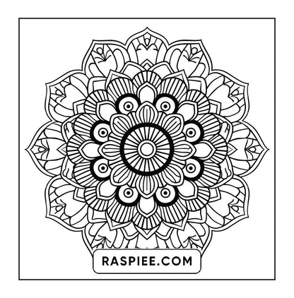 250 Mandala Adult Coloring Pages Vol.4