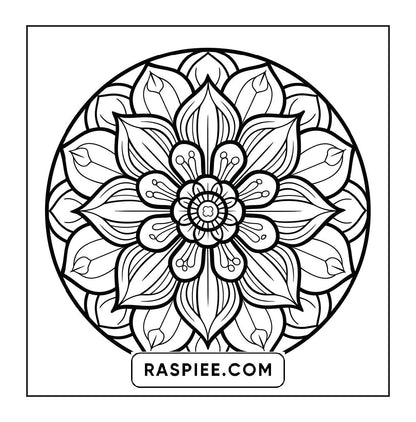 250 Mandala Adult Coloring Pages Vol.4