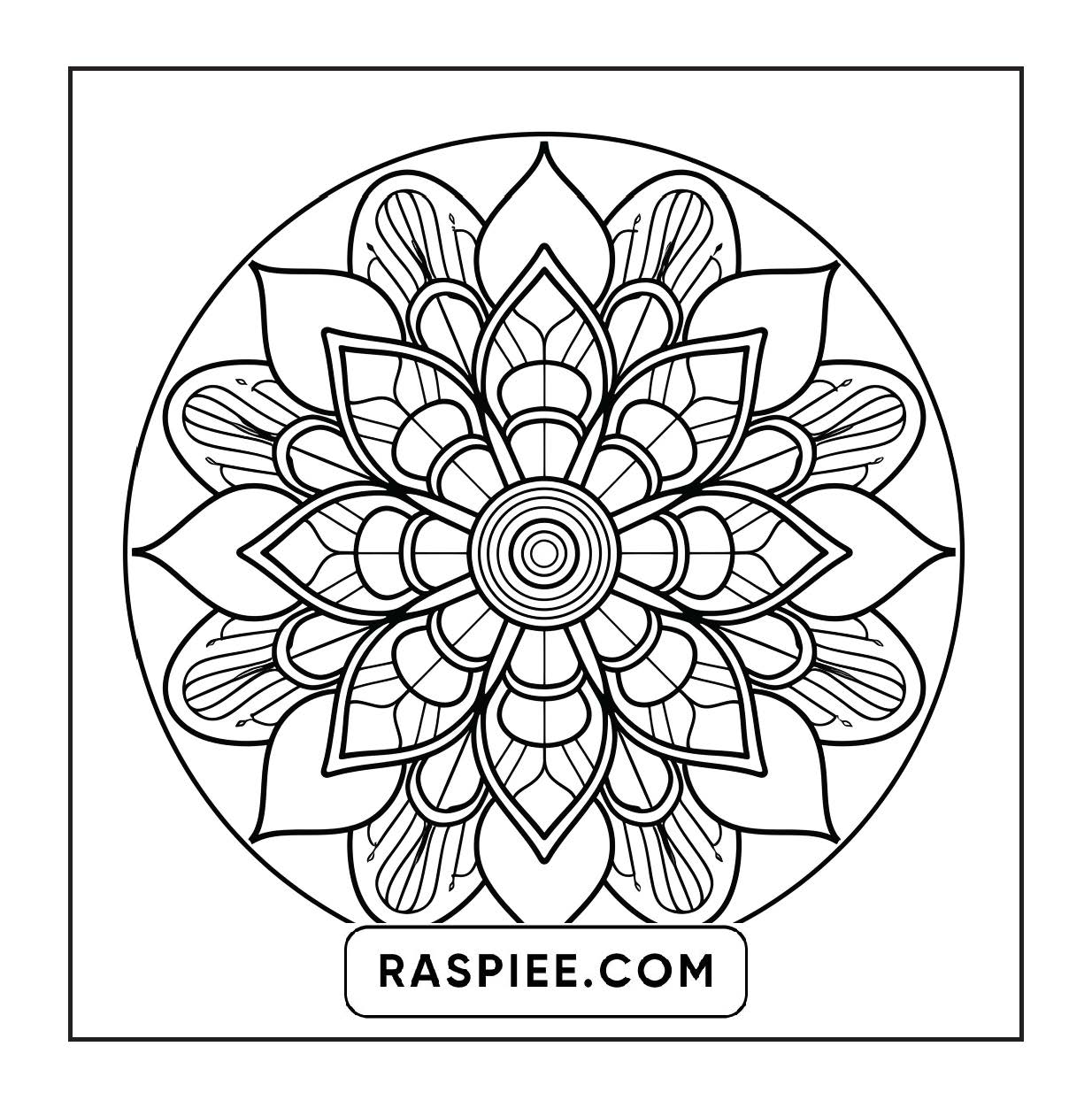250 Mandala Adult Coloring Pages Vol.4