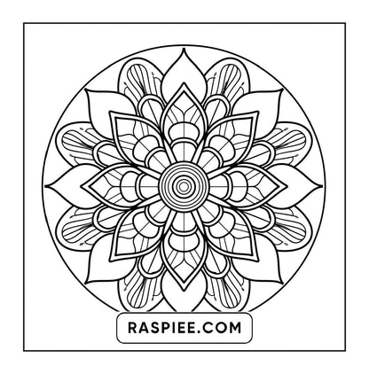 250 Mandala Adult Coloring Pages Vol.4