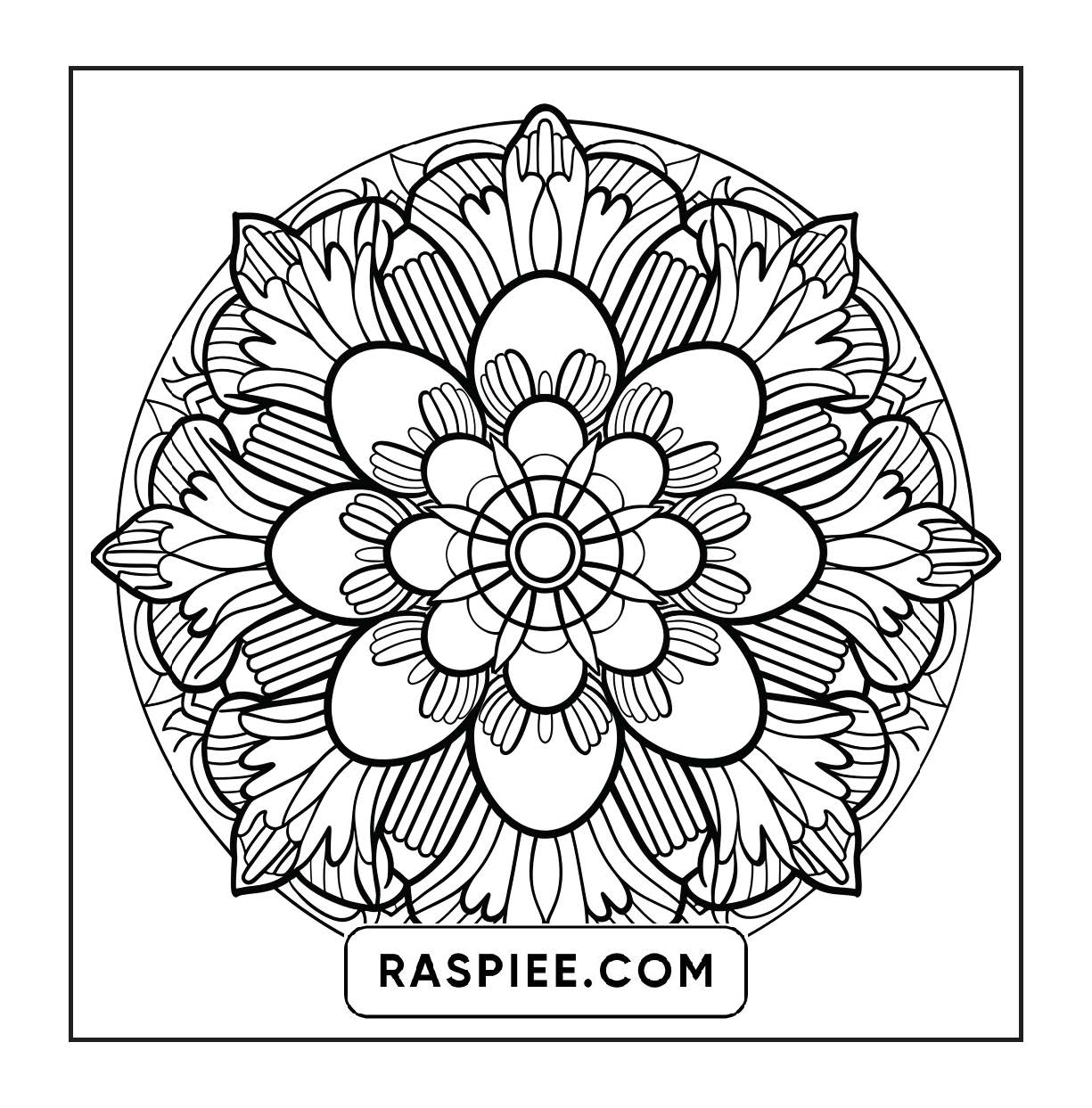 250 Mandala Adult Coloring Pages Vol.4