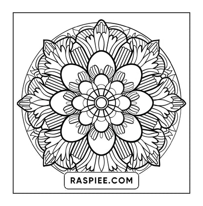 250 Mandala Adult Coloring Pages Vol.4