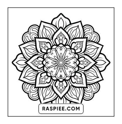 250 Mandala Adult Coloring Pages Vol.4