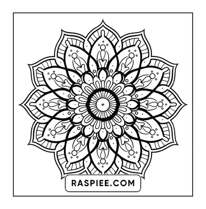 250 Mandala Adult Coloring Pages Vol.4