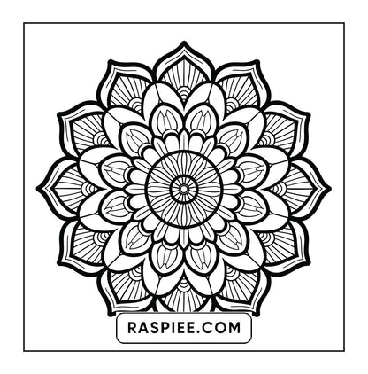 250 Mandala Adult Coloring Pages Vol.4