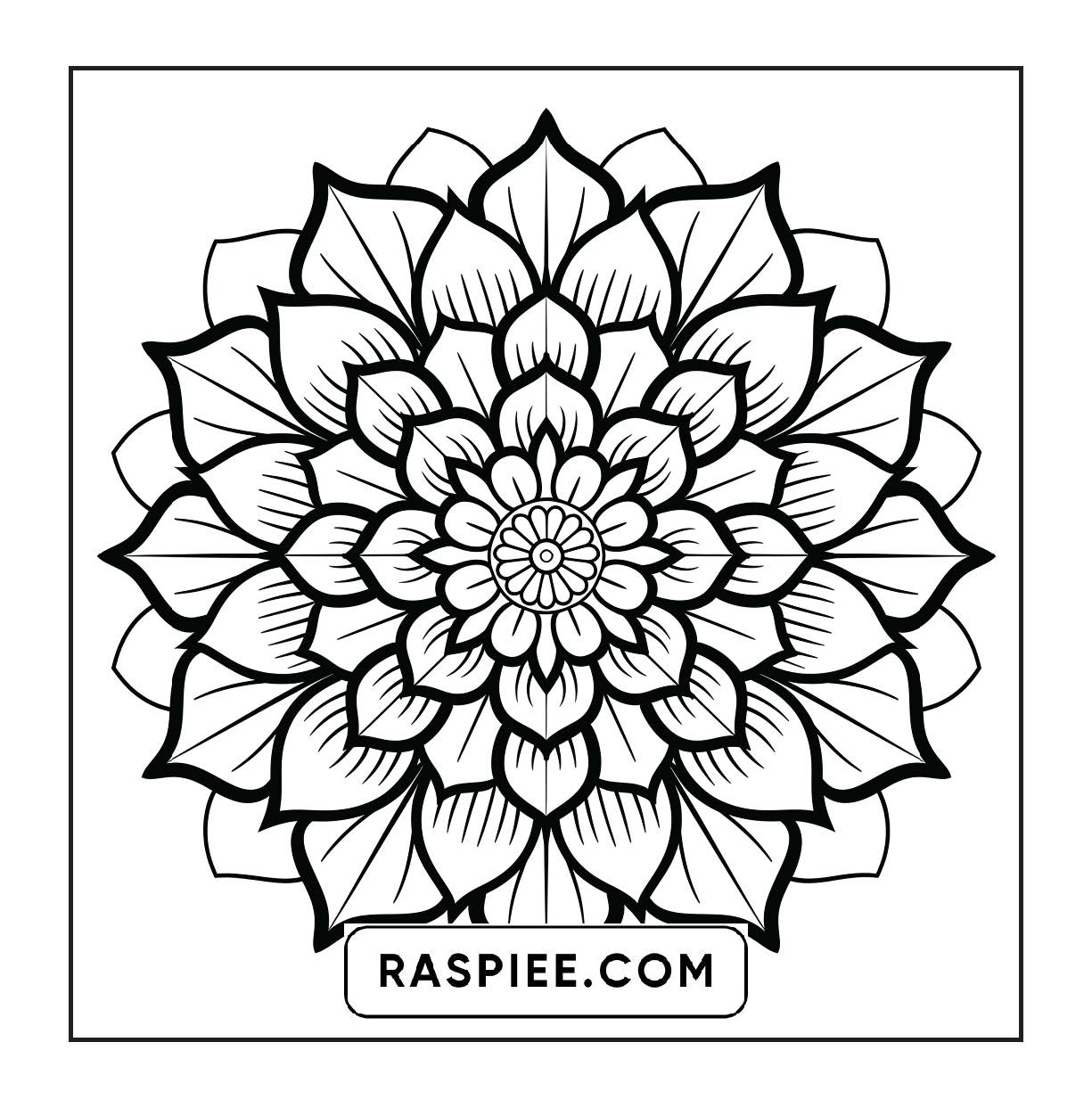 250 Mandala Adult Coloring Pages Vol.4