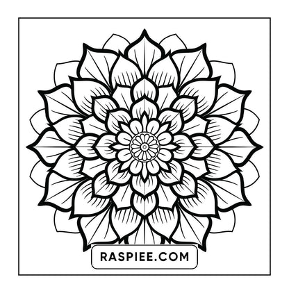 250 Mandala Adult Coloring Pages Vol.4