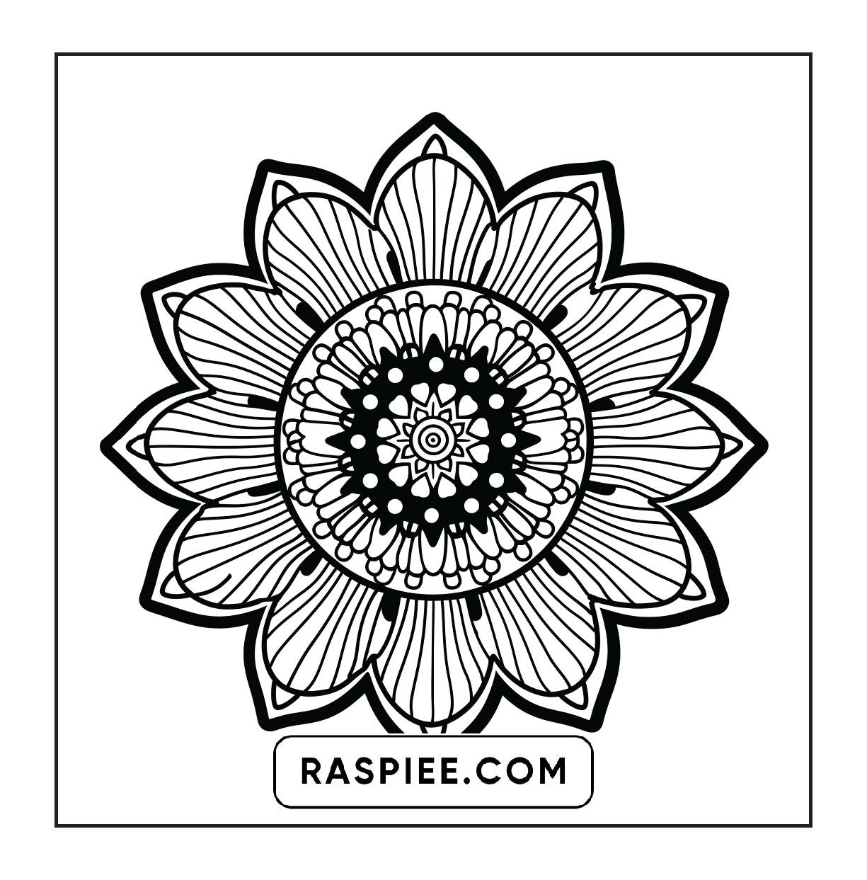 250 Mandala Adult Coloring Pages Vol.4