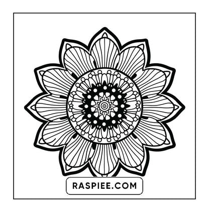 250 Mandala Adult Coloring Pages Vol.4