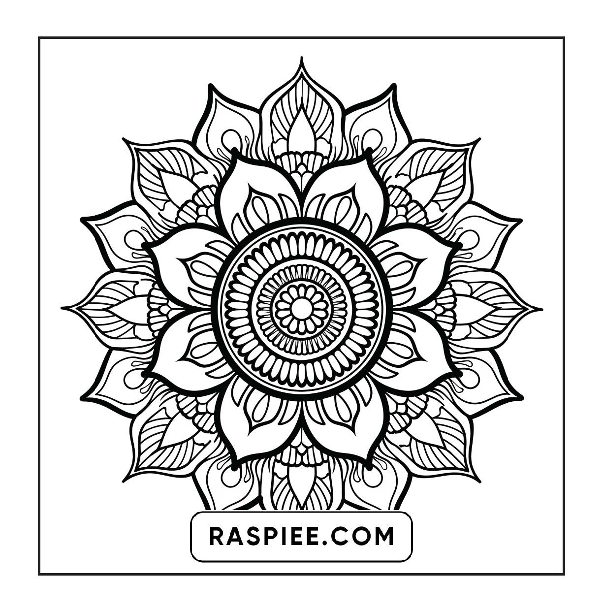 250 Mandala Adult Coloring Pages Vol.4