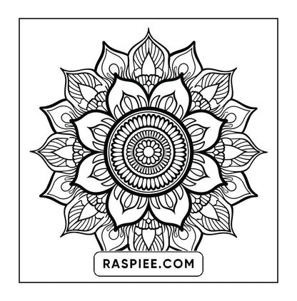 250 Mandala Adult Coloring Pages Vol.4