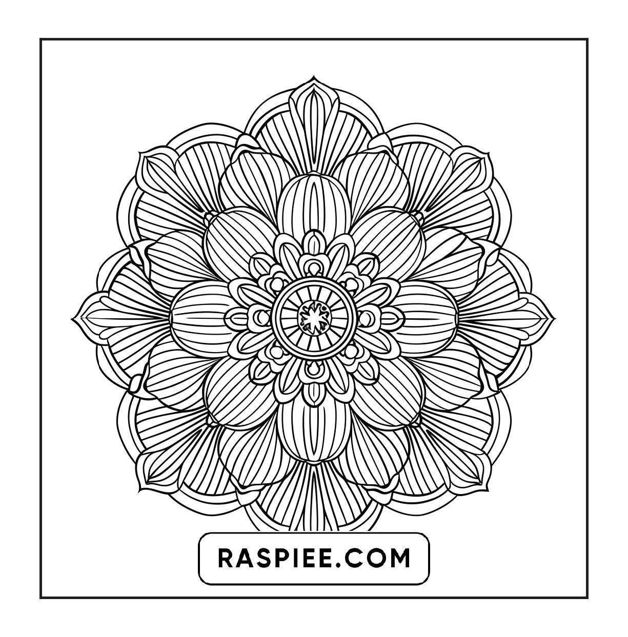 250 Mandala Adult Coloring Pages Vol.4
