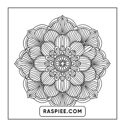 250 Mandala Adult Coloring Pages Vol.4