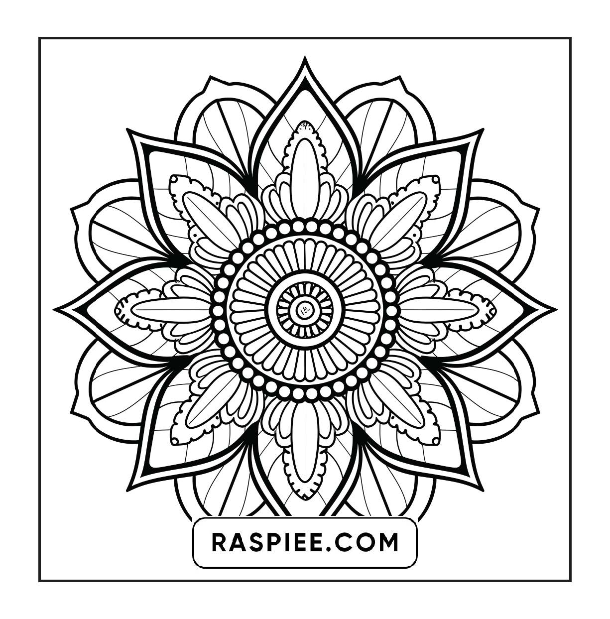 250 Mandala Adult Coloring Pages Vol.4