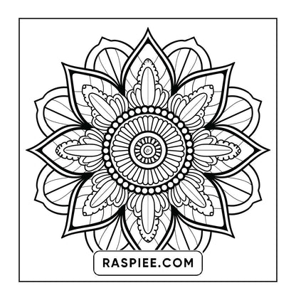 250 Mandala Adult Coloring Pages Vol.4