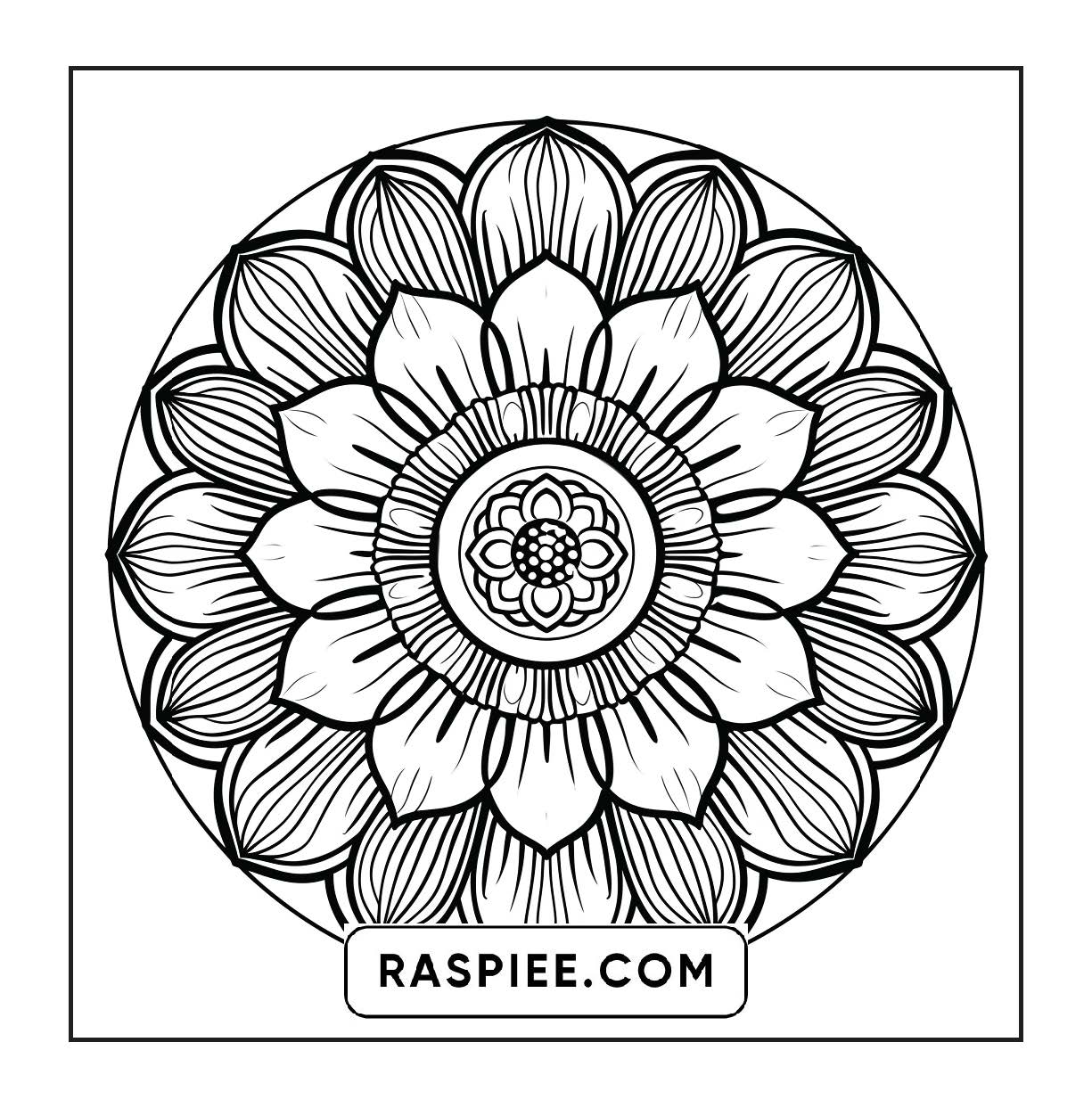 250 Mandala Adult Coloring Pages Vol.4