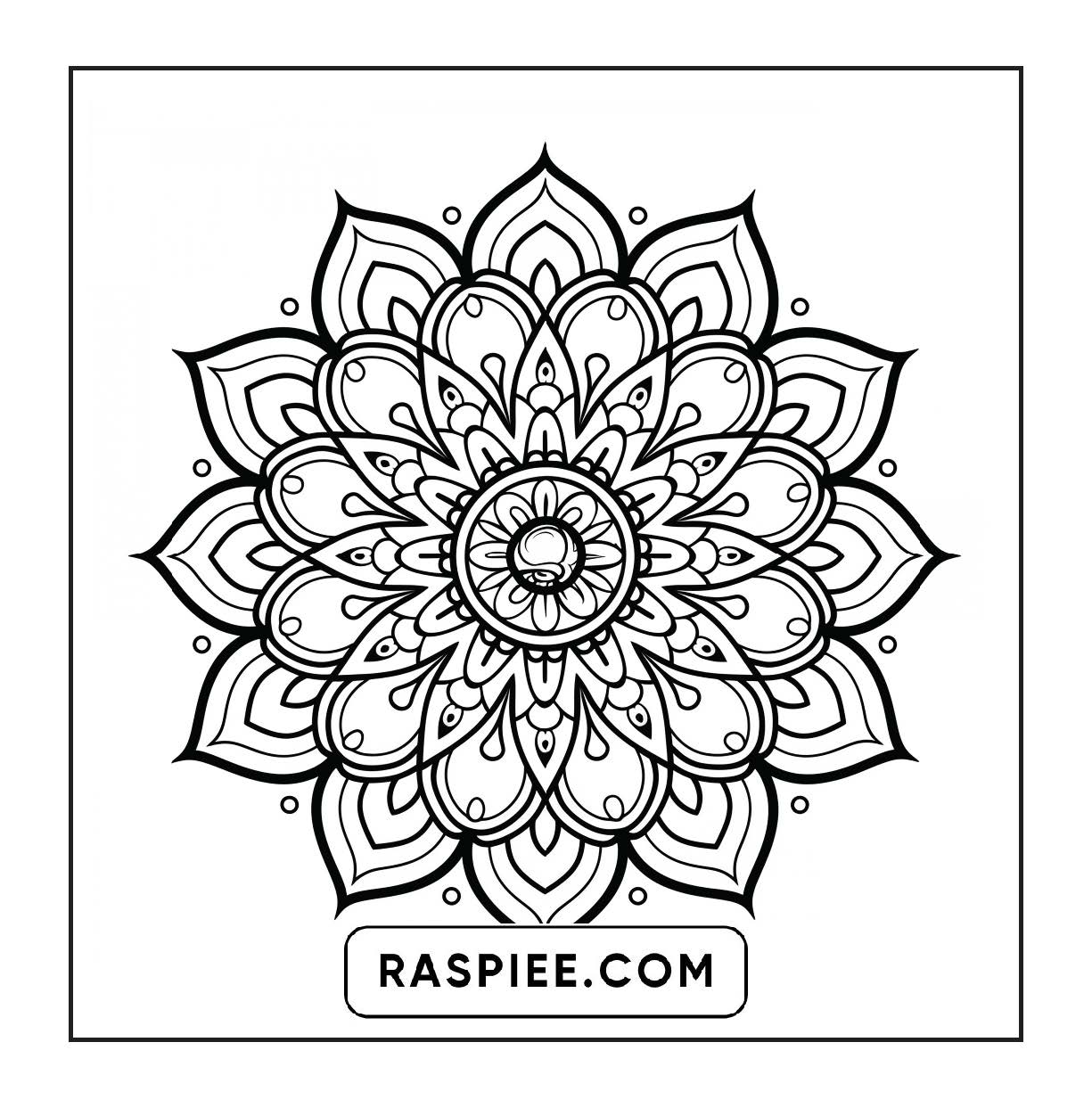250 Mandala Adult Coloring Pages Vol.4
