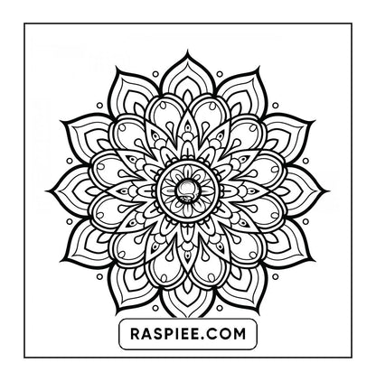 250 Mandala Adult Coloring Pages Vol.4