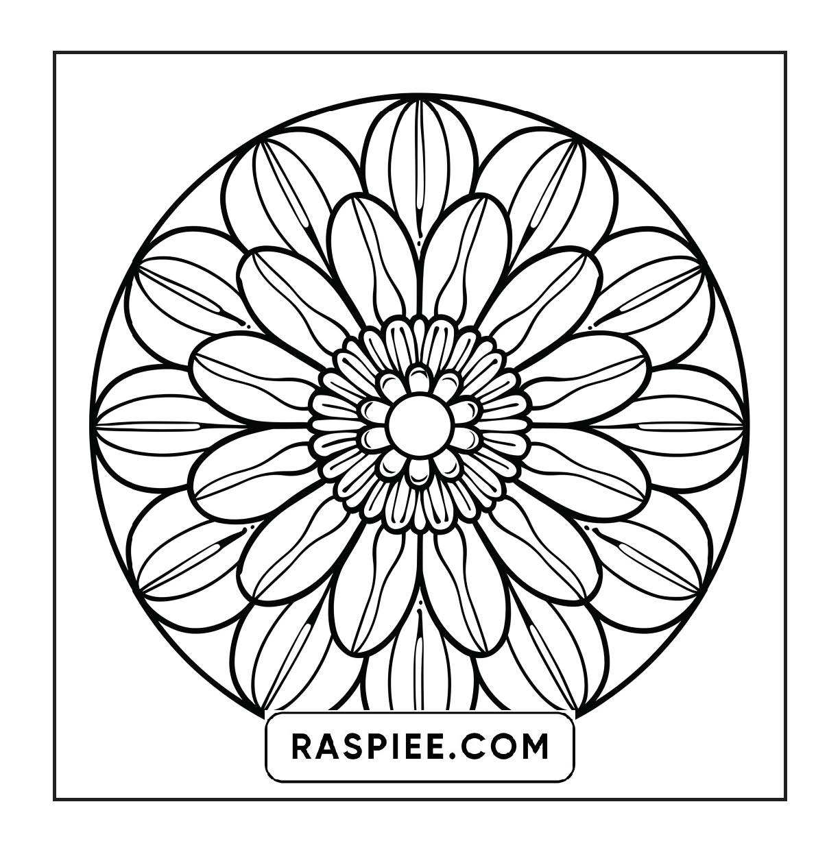 250 Mandala Adult Coloring Pages Vol.4