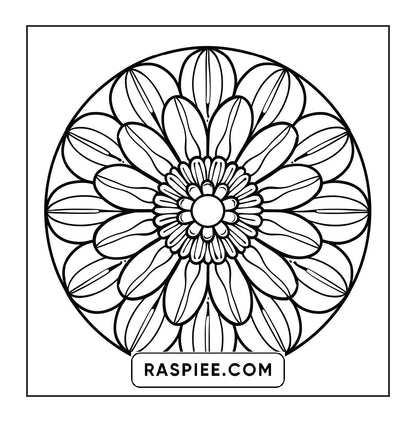250 Mandala Adult Coloring Pages Vol.4