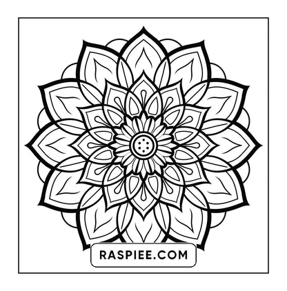 250 Mandala Adult Coloring Pages Vol.4