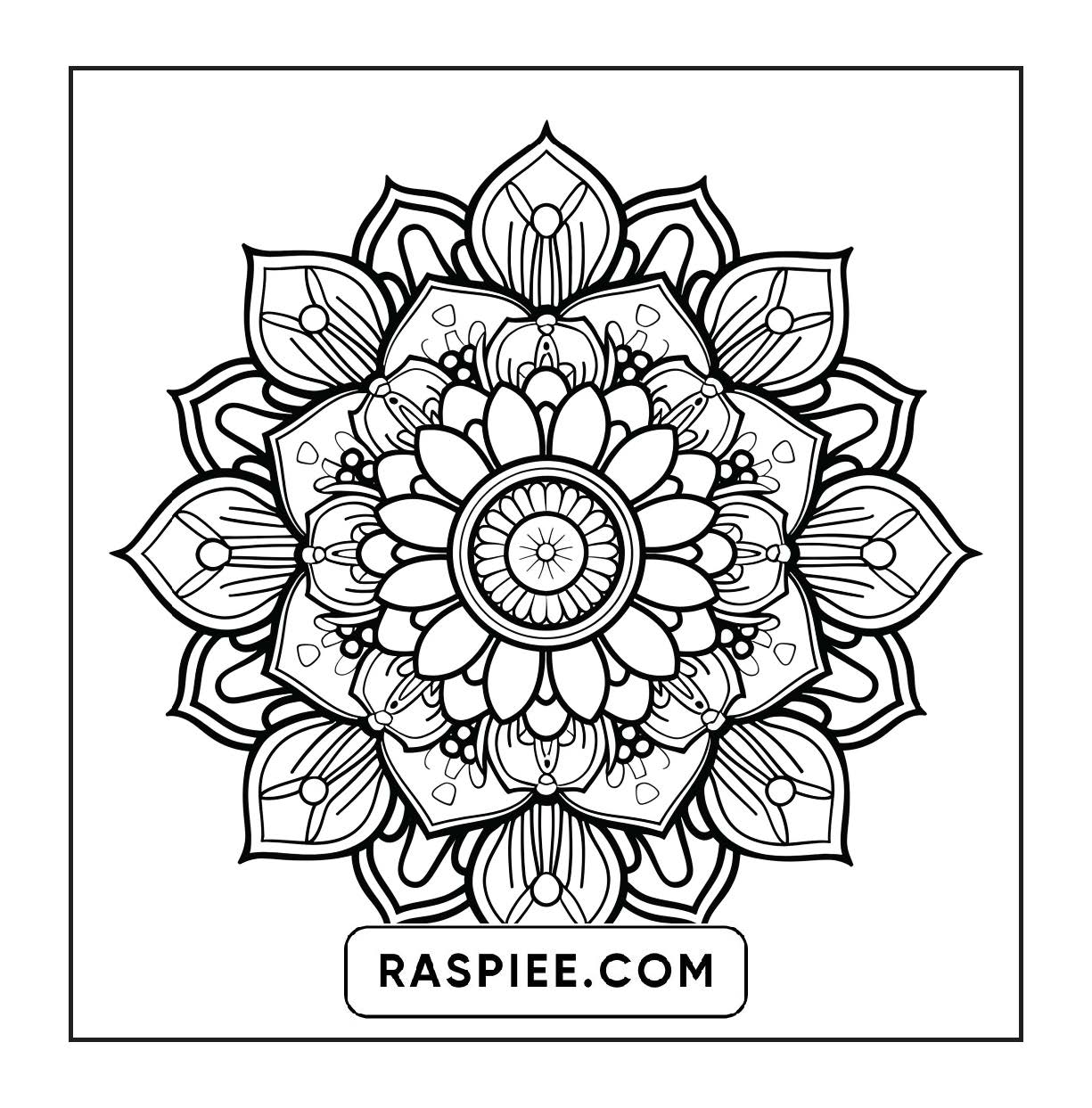 250 Mandala Adult Coloring Pages Vol.4
