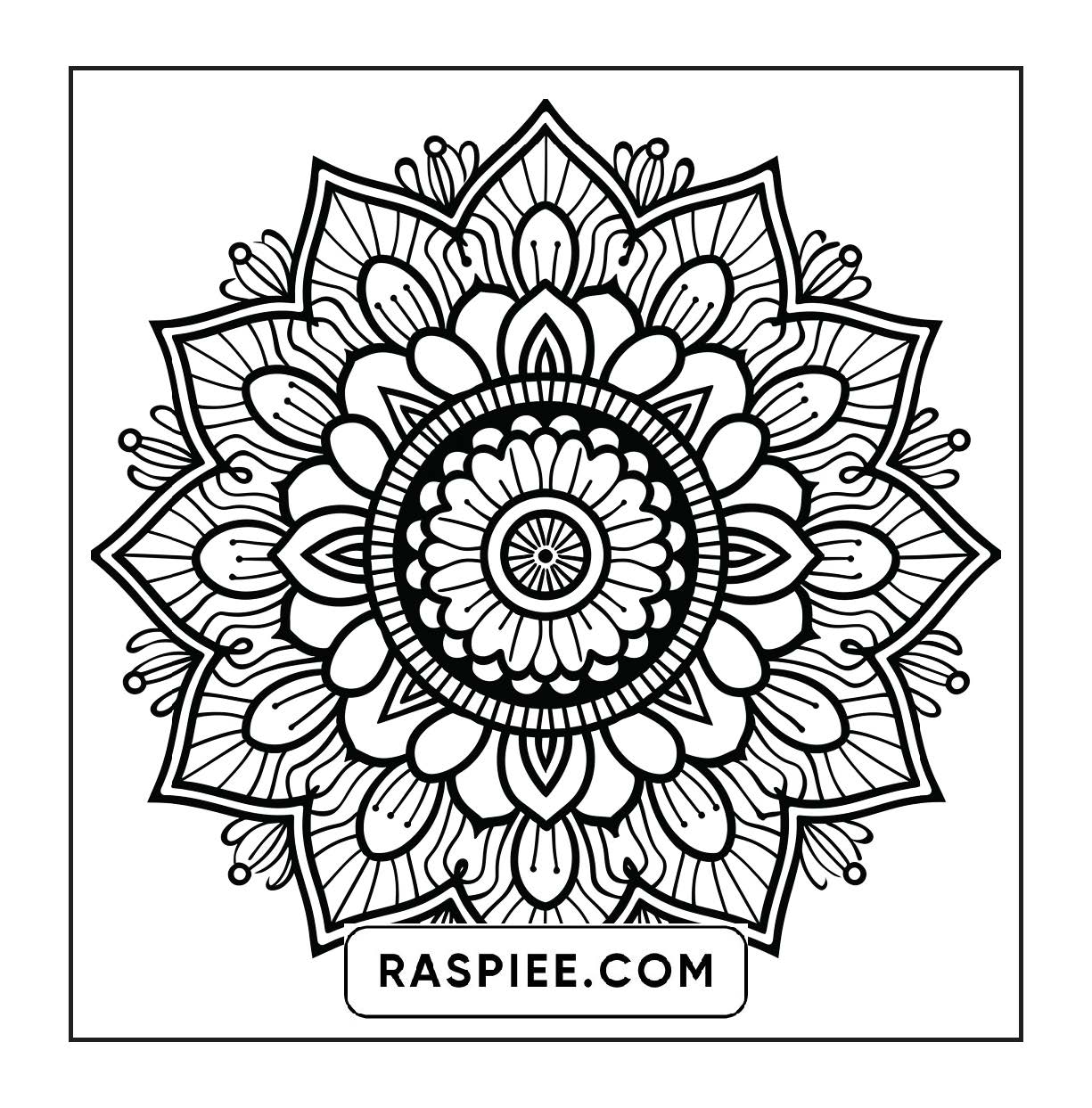 250 Mandala Adult Coloring Pages Vol.4
