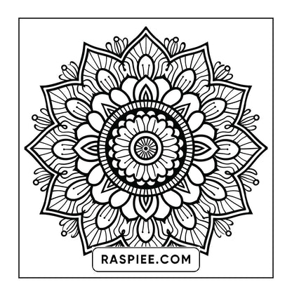 250 Mandala Adult Coloring Pages Vol.4