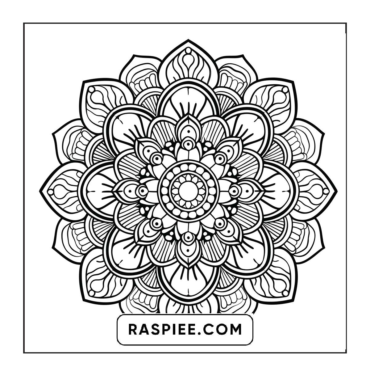 250 Mandala Adult Coloring Pages Vol.4