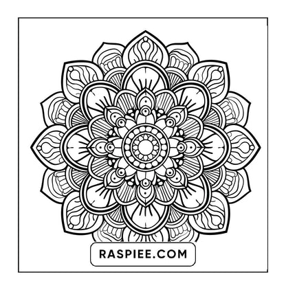 250 Mandala Adult Coloring Pages Vol.4