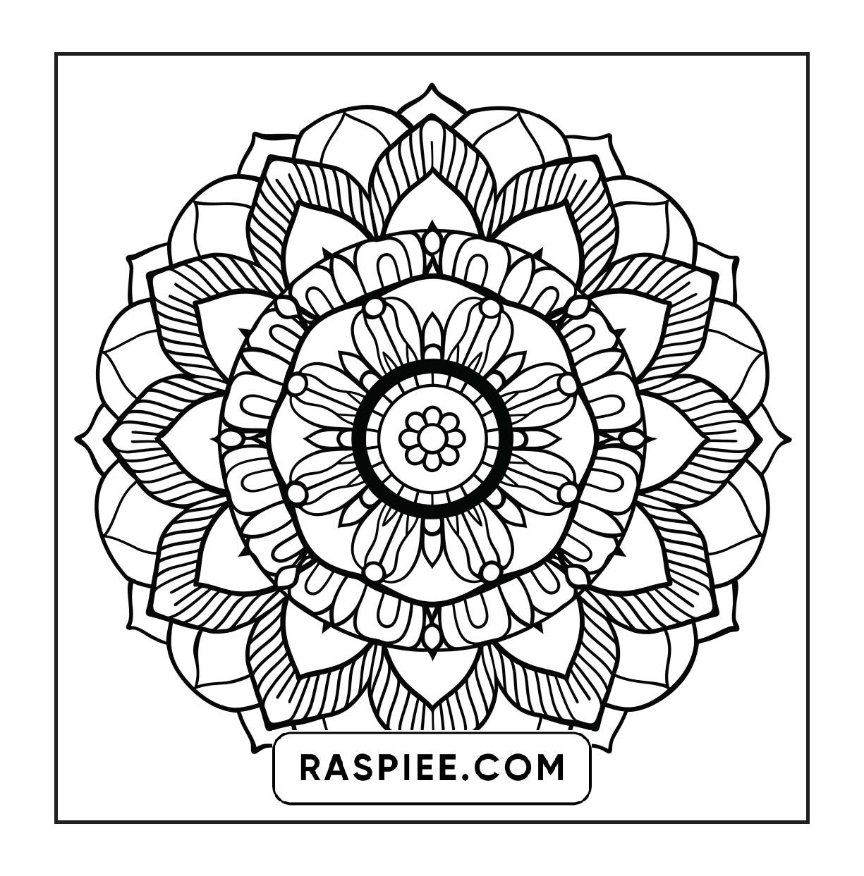 250 Mandala Adult Coloring Pages Vol.4
