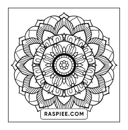 250 Mandala Adult Coloring Pages Vol.4