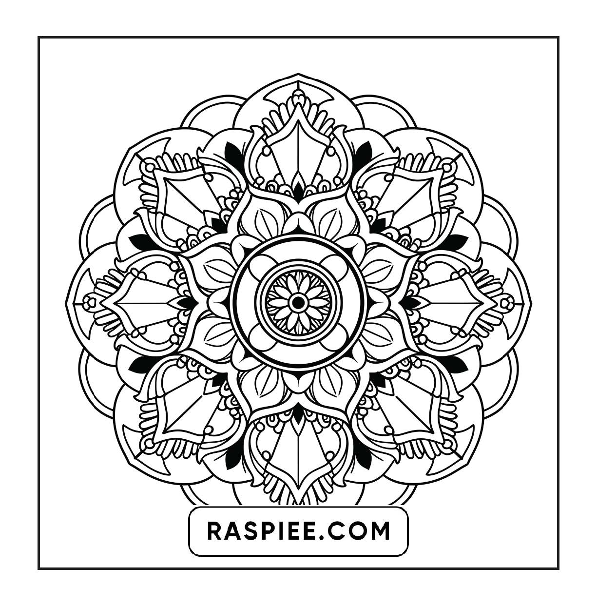 250 Mandala Adult Coloring Pages Vol.4