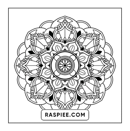 250 Mandala Adult Coloring Pages Vol.4