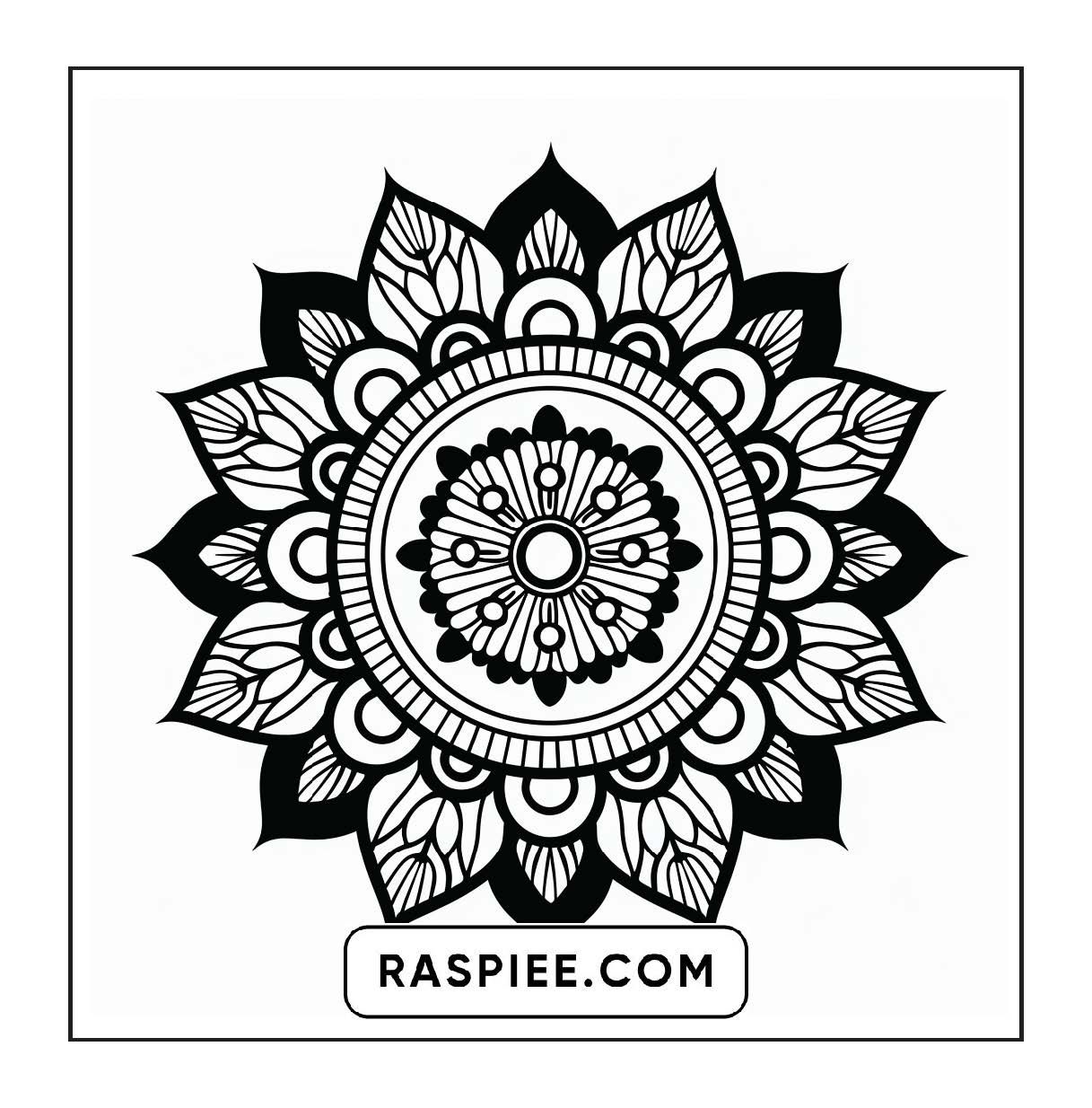 250 Mandala Adult Coloring Pages Vol.4
