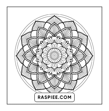 250 Mandala Adult Coloring Pages Vol.4