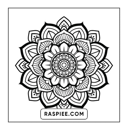250 Mandala Adult Coloring Pages Vol.4