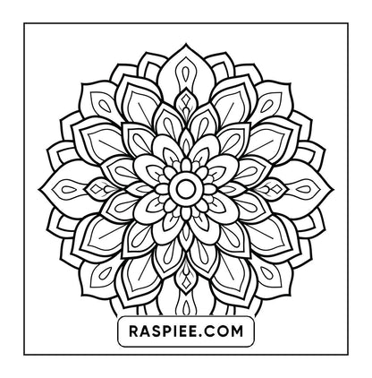 250 Mandala Adult Coloring Pages Vol.4
