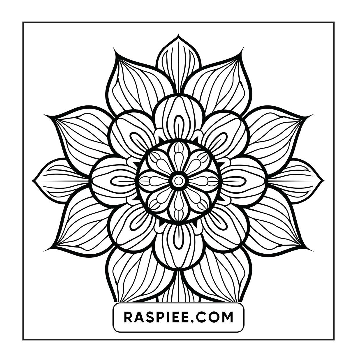 250 Mandala Adult Coloring Pages Vol.4